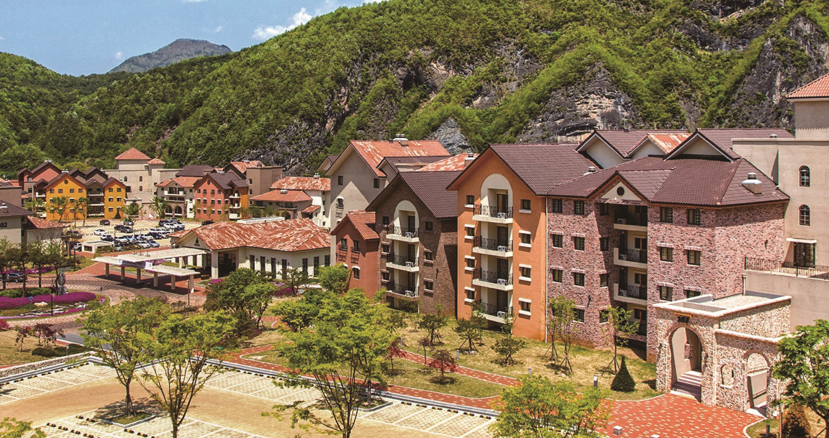 동강시스타 대표이미지